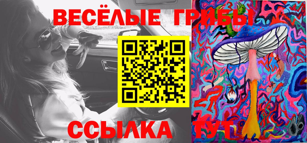 Галлюциногенные грибы Psilocybe Советский